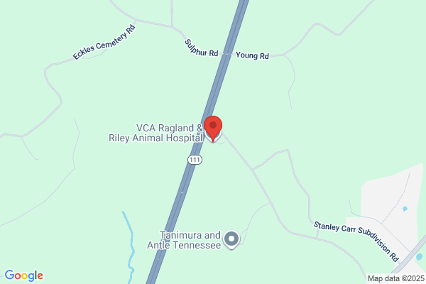 VCA Ragland & Riley Animal Hospital