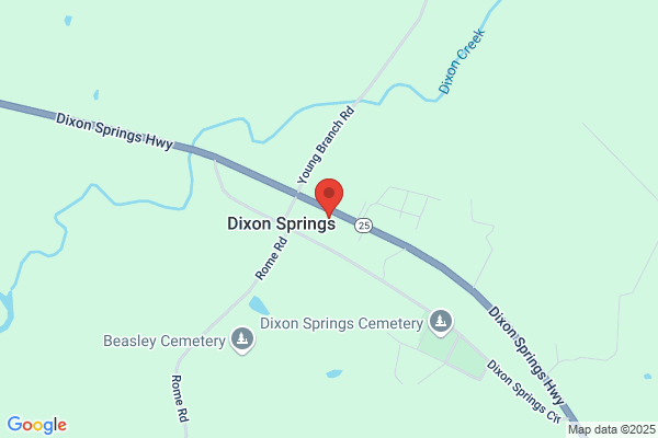 Dixon Springs Market
