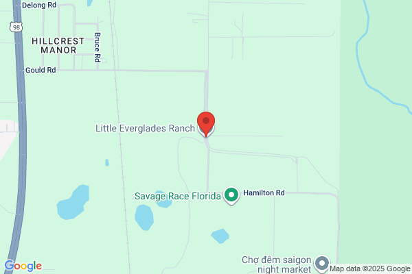 Everglades Peat