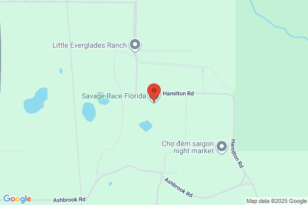 Little Everglades Steeplechase Foundation Inc