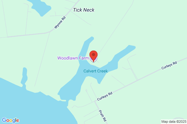 Woodlawn Bed & Breakfast