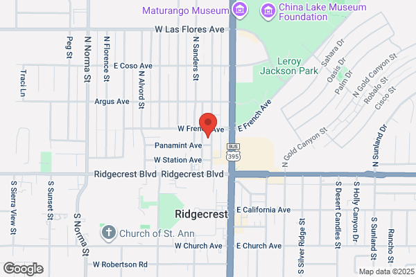 Pet Boutique the