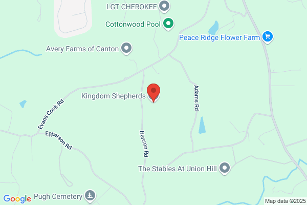 Cherokee Shiloh Shepards