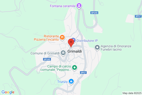 Grimaldi & Grimaldi