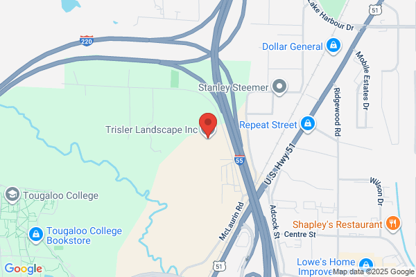 Trisler Landscape