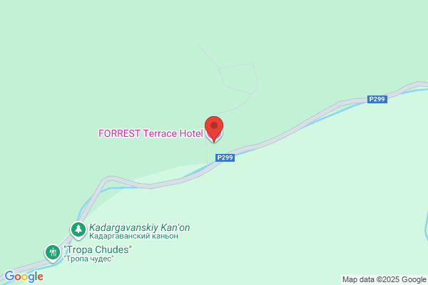 Forest Motel