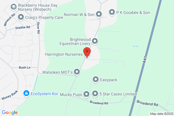 Harringtons Nursery