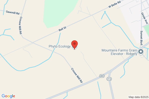 Phyto Ecology