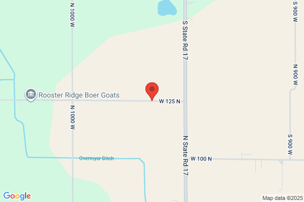 R & R Hog Farms
