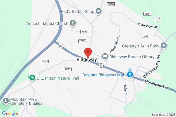 Ridgeway Drive In