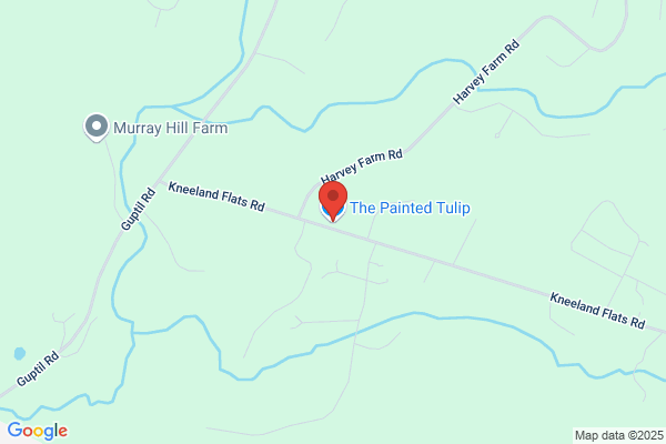 The Painted Tulip