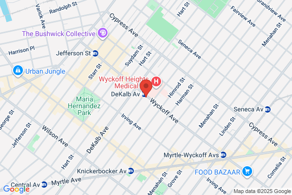 Wyckoff Ave 99 Cents Store