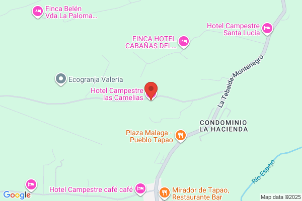 Las Camelias