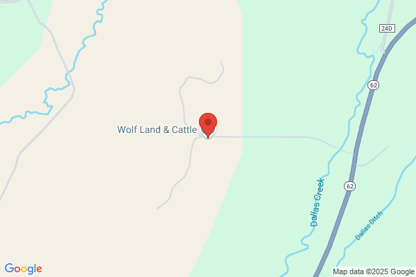 Wolf Cattle Co