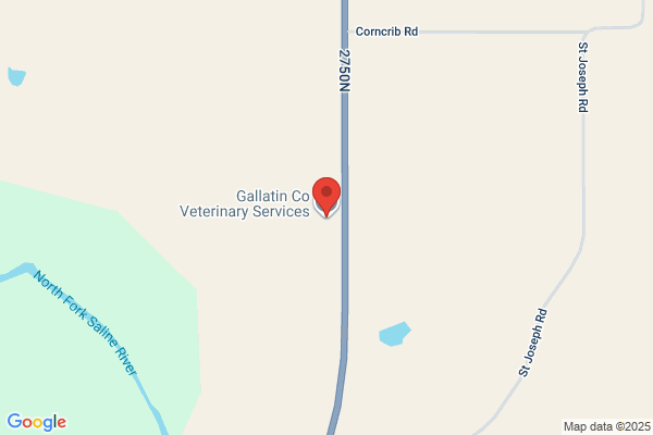 Gallatin Co Veterinary Service