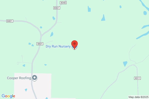 Dry Run Nursery