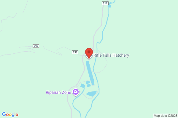 Rifle Falls Fish Hatchery
