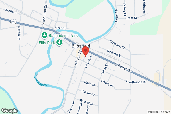 Blissfield Advance Newspaper