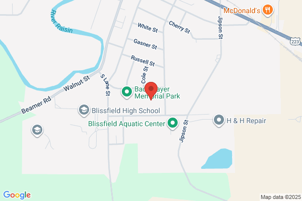Blissfield Manufacturing Co