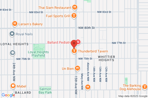 Ballard Handyman Services
