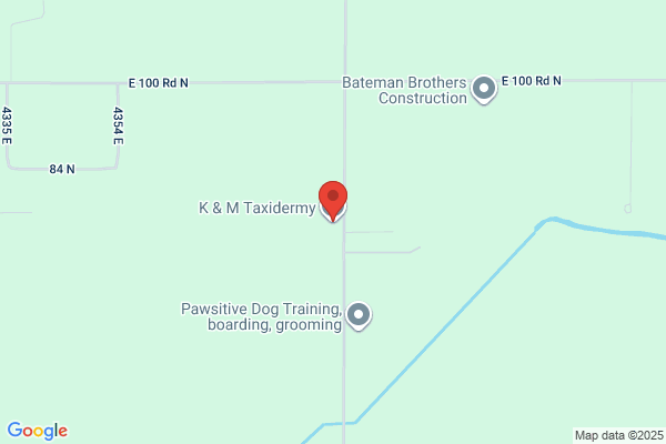 K & M Taxidermy