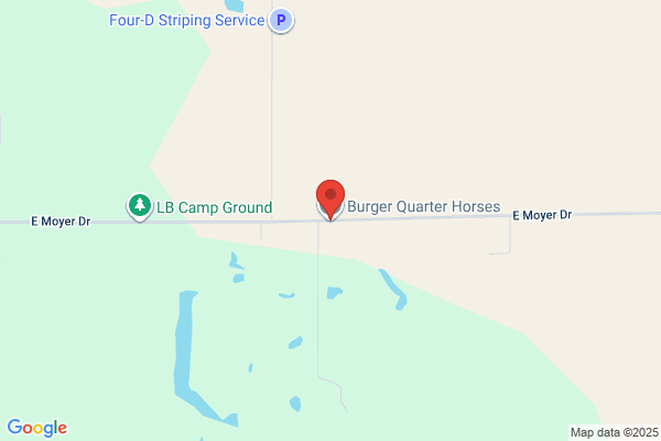 Burger Quarter Horses