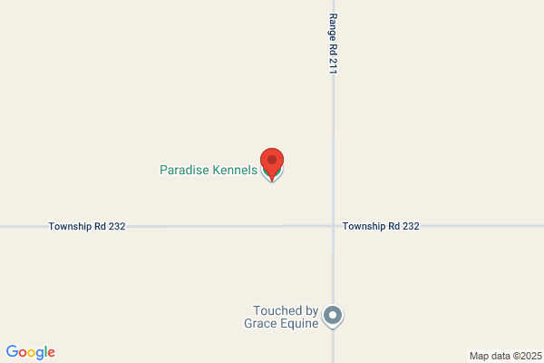 Paradise Kennels