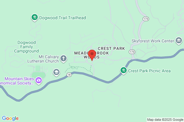 Mountain Auto Service