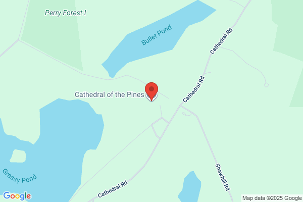 Cathedral of the Pines