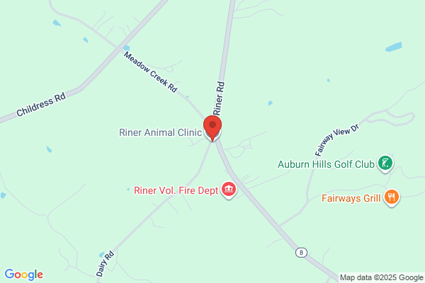 Riner Animal Hospital