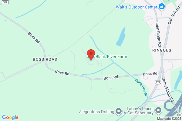 Black River Farm