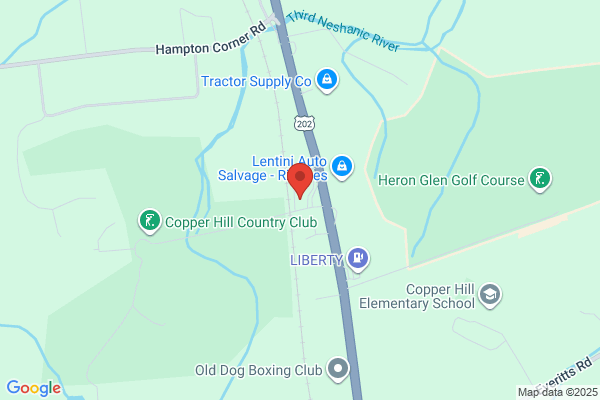 Daves Flemington Collision