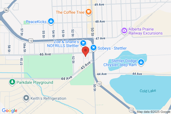 Stettler Group Inc the
