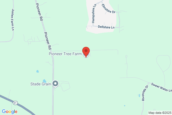 Pioneer Tree Farm