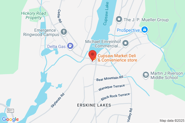 MCI Eastern Security Systems