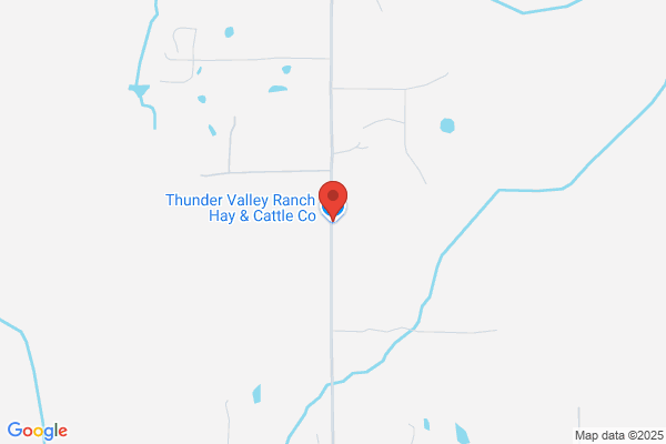 Landmark Cattle Co