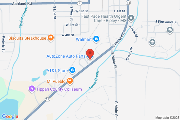 AutoZone Auto Parts
