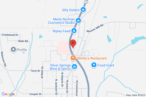 Money Now Ripley Title Loans
