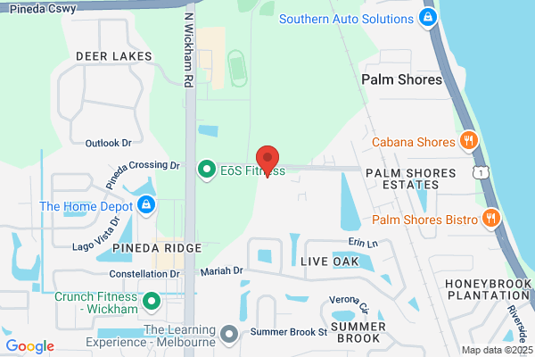 Ameritech Cellular Service