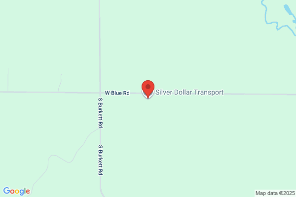 Silver Dollar LLC