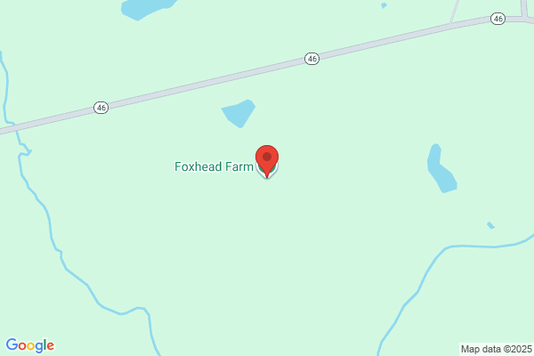 Fox Head Farm