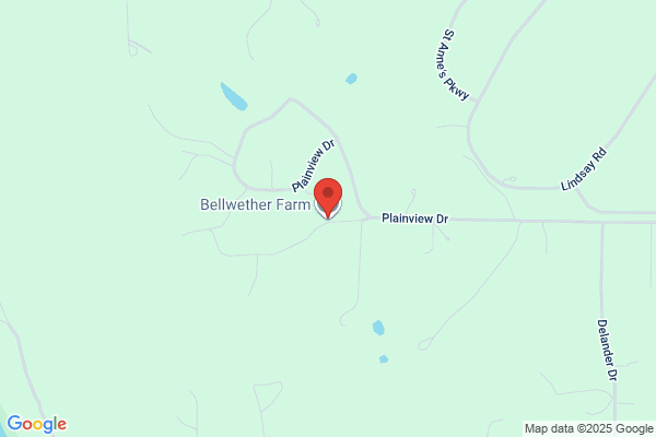 Plainview Stable & Outfitters