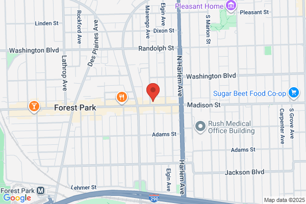 Forest Park Chiropractic Services