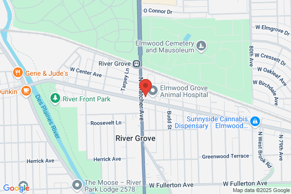 Irene's Dry Cleaners