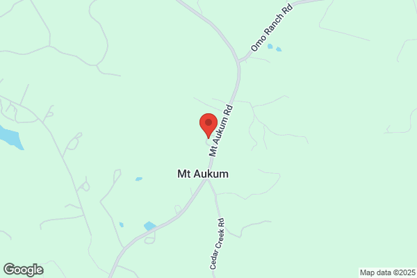 Mt Aukum Tire
