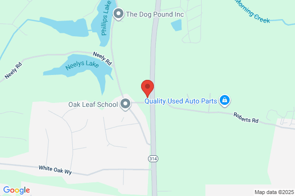 Bailey Dan Insurance Agency