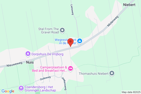 Nui Auto Service