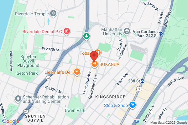 Burglar Alarms Riverdale