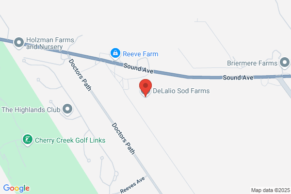 De Lalio Sod Farms Inc