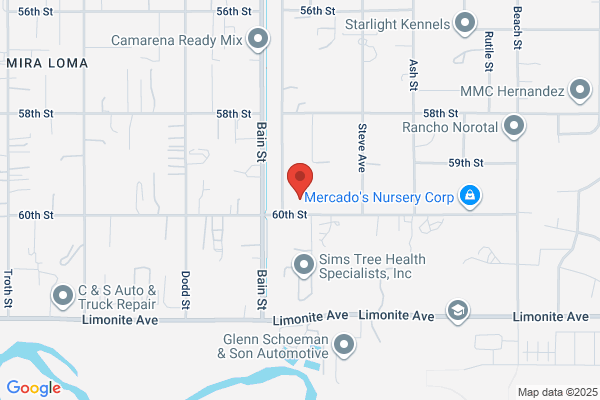 The Church of Jesus Christ of Latter-day Saints